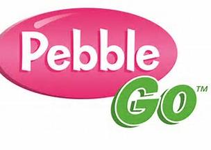 Pebble Go